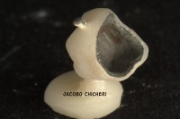 Inline Pom - Laboratorio Protesis Dentales Jacobo Chicher